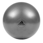 Adidas Gym Ball with Pump Exercise Yoga Fitness Pilates Birthing Training 55cm V563-ADBL-11245GR