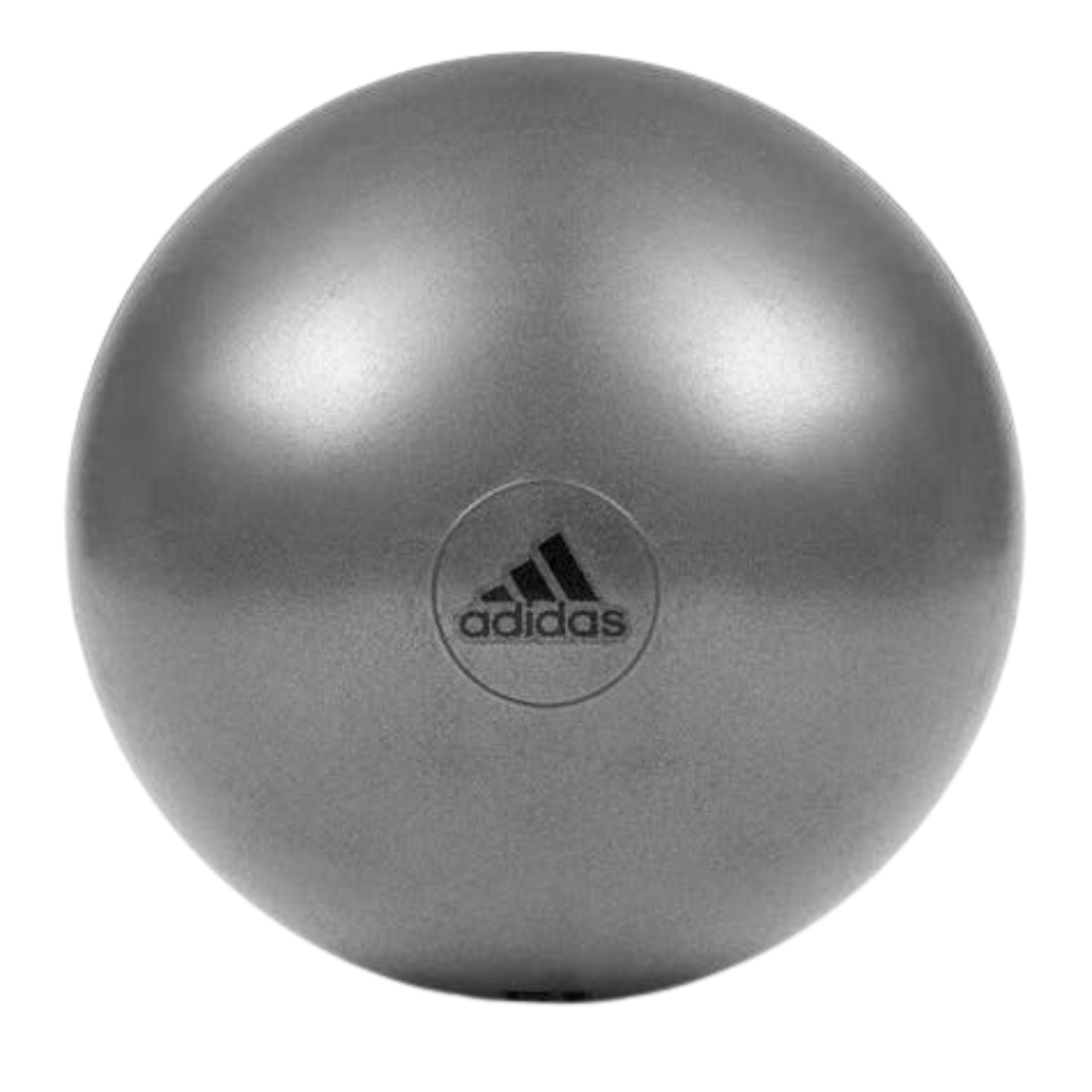 Adidas Gym Ball with Pump Exercise Yoga Fitness Pilates Birthing Training 55cm V563-ADBL-11245GR