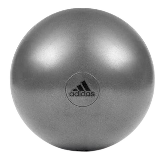 Adidas Gym Ball with Pump Exercise Yoga Fitness Pilates Birthing Training 55cm V563-ADBL-11245GR