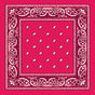 BANDANA Paisley 100% COTTON Head Wrap Durag Bandanna Summer Biker Scarf Mask - Hot Pink V563-BANDANA-HTPNK