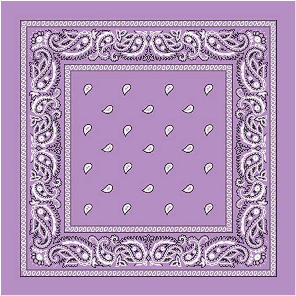 BANDANA Paisley 100% COTTON Head Wrap Durag Bandanna Summer Biker Scarf Mask - Lilac V563-BANDANA-LILAC