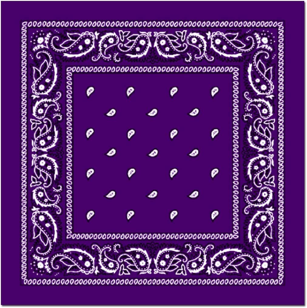 BANDANA Paisley 100% COTTON Head Wrap Durag Bandanna Summer Biker Scarf Mask - Purple V563-BANDANA-PURPLE