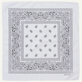 BANDANA Paisley 100% COTTON Head Wrap Durag Bandanna Summer Biker Scarf Mask - White V563-BANDANA-WHT