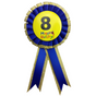 BIRTHDAY BADGE Party Favour Award Rosette Fancy Dress Girls Boys Childrens Kids - V563-BR-FANCYDRESBADGE-8BLU