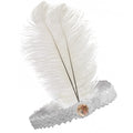 1920s FLAPPER HEADBAND Headpiece Feather Sequin Charleston Costume Gatsby Dance - White V563-BR-FLAPHEADB-WHT