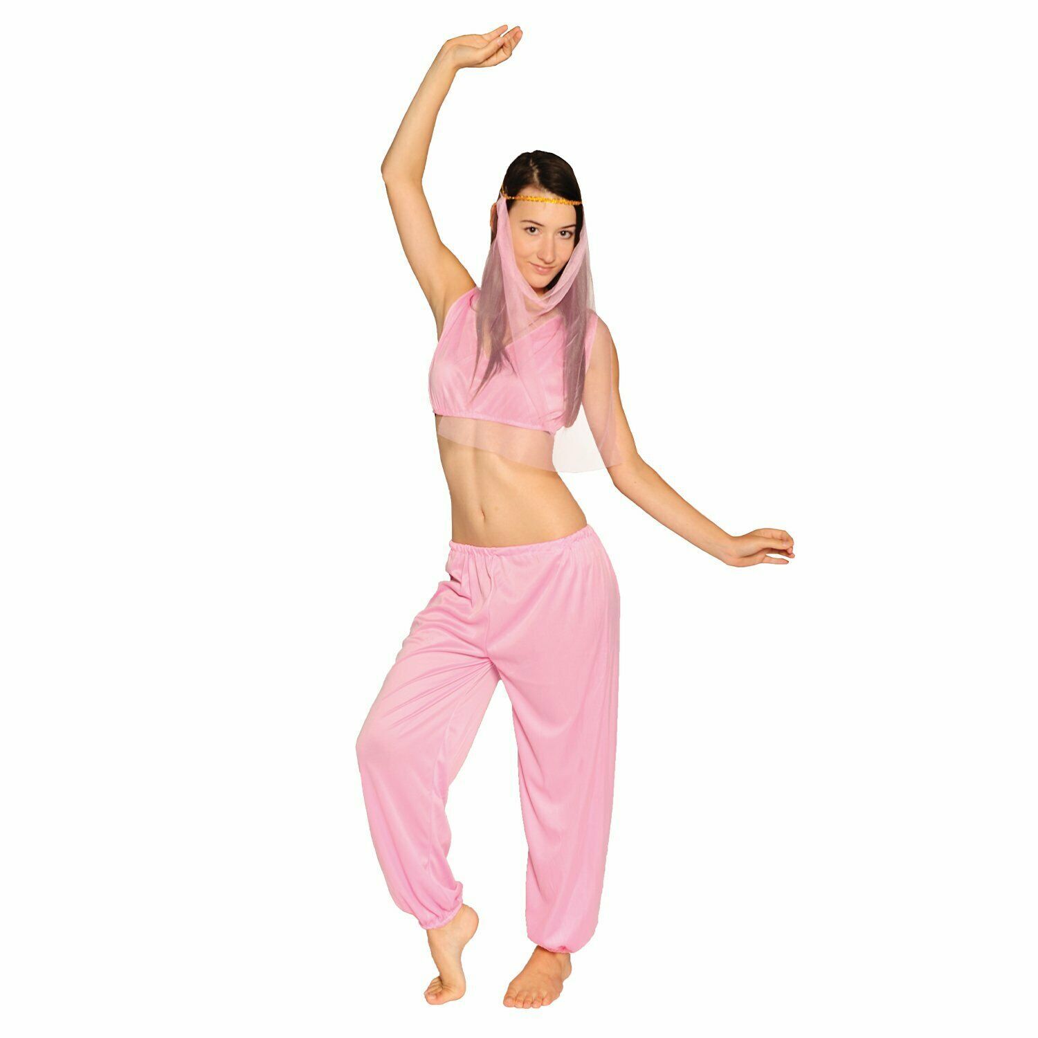 Ladies Arabian Princess Costume Belly Dancer Genie Fancy Party Dress Adult V563-BR-LARABPRINCS