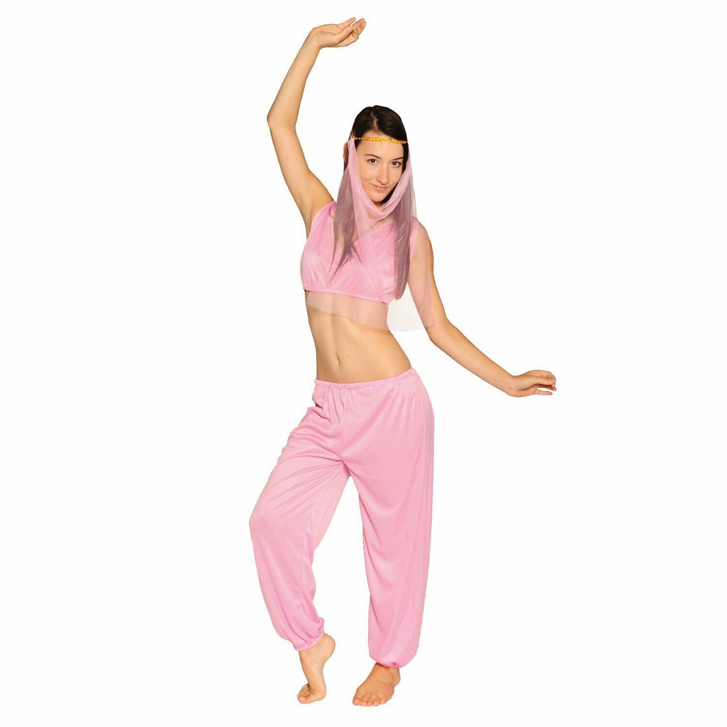Ladies Arabian Princess Costume Belly Dancer Genie Fancy Party Dress Adult V563-BR-LARABPRINCS
