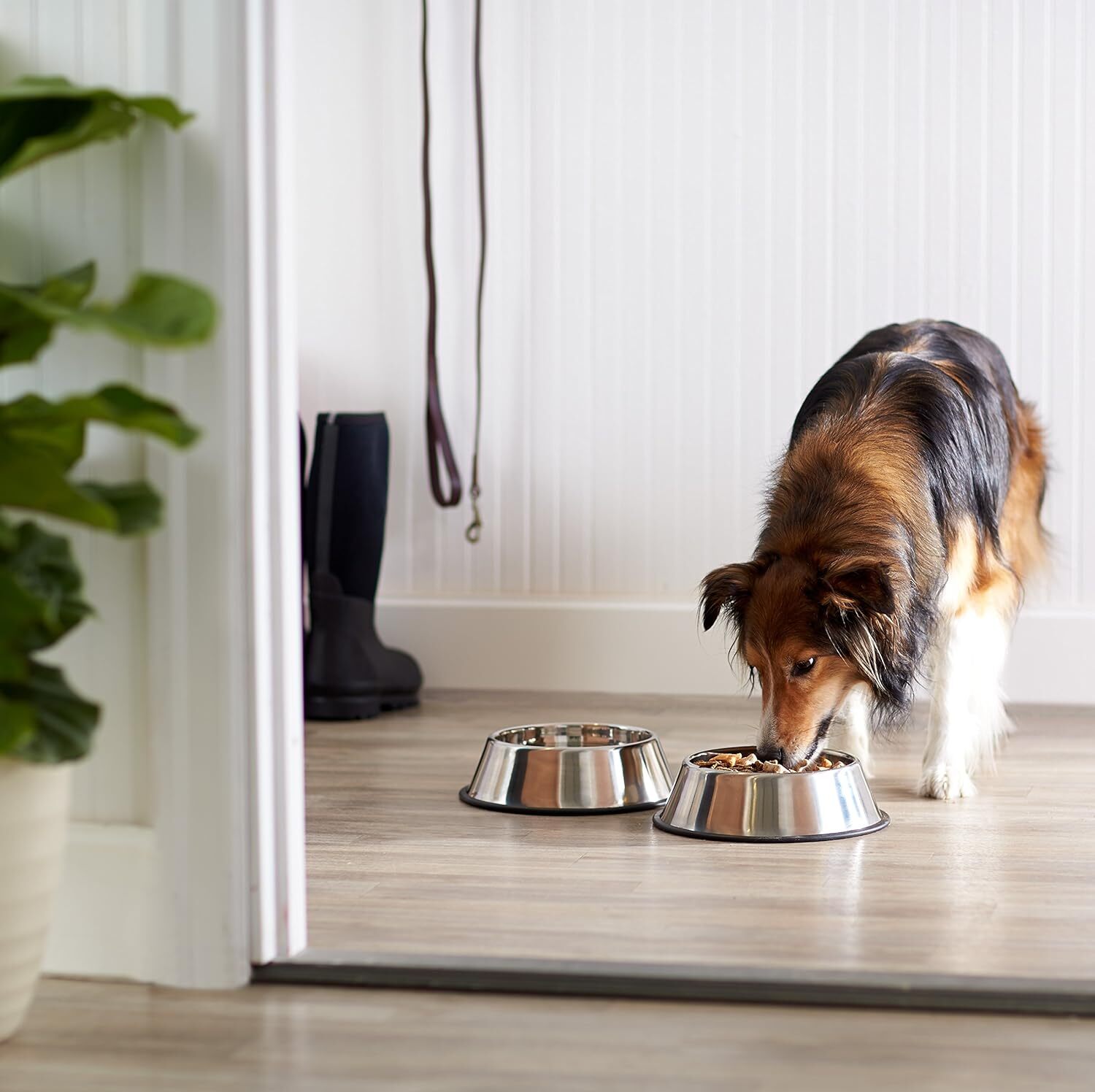 Non Slip Stainless Steel Dog Bowl Pet Cat Water Food Feeder Portable Puppy Dish - Medium (300ml)