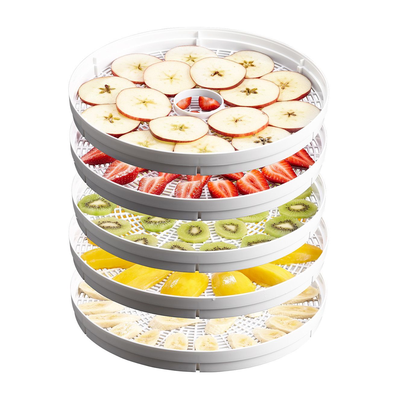 Sunbeam DT5600 Food Dehydrator 5 Stackable Drying Racks with Fruit Roll Tray V563-DT5600