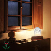 CarolCraft Christmas LED Acrylic USB Lamp Set of 5 Decoration Ornament Xmas Gift V563-FES-001-TAB-SET