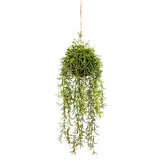 60cm Moss Ball w Senecio Hanging Artificial Plant Flower (with Rope) Fake V563-GF70240