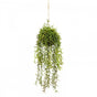60cm Moss Ball w Senecio Hanging Artificial Plant Flower (with Rope) Fake V563-GF70240
