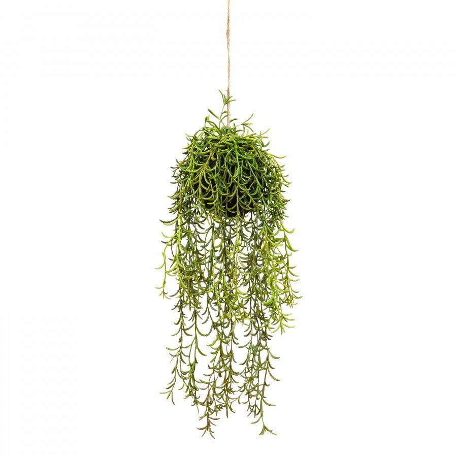 60cm Moss Ball w Senecio Hanging Artificial Plant Flower (with Rope) Fake V563-GF70240