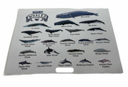 TYPES OF WHALES A4 Matte Laminated Poster Print Fish - 210mm x 297mm V563-LAMINATED_WHALES_A4
