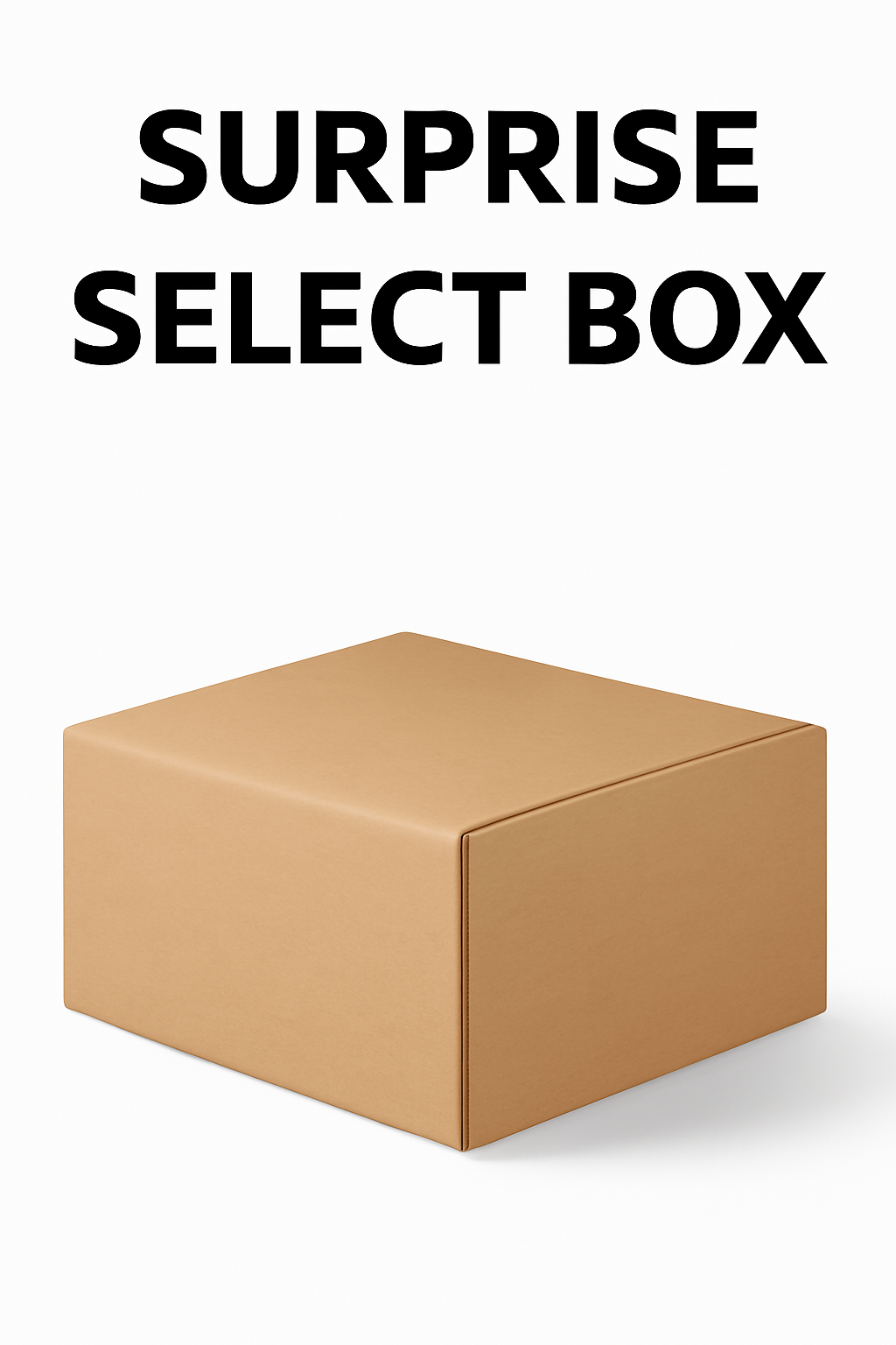The Surprise Select Box V563-SURPRISESELECTBOX