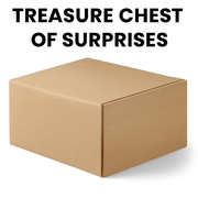 Treasure Chest of Surprises V563-TREASURECHESTOFSURPRISES