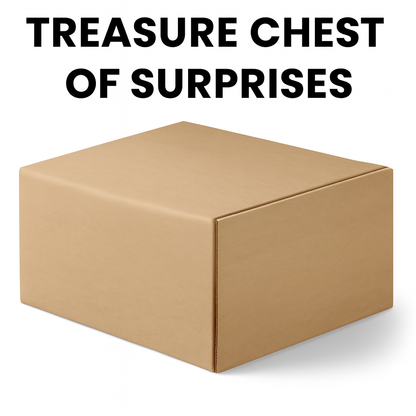 Treasure Chest of Surprises V563-TREASURECHESTOFSURPRISES