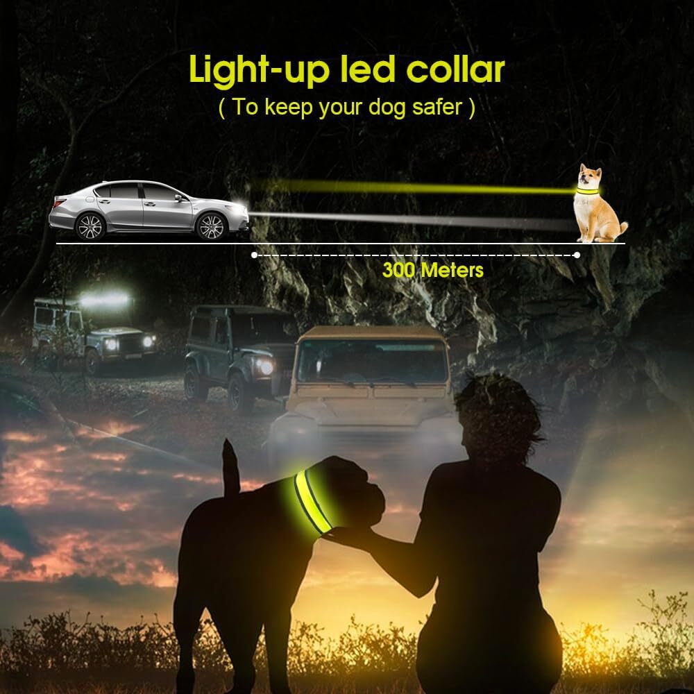 LED Dog Cat Collar USB Rechargeable Nylon Glow Flashing Light Up Safety Puppy V563-ZP0115