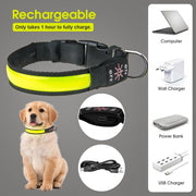 LED Dog Cat Collar USB Rechargeable Nylon Glow Flashing Light Up Safety Puppy V563-ZP0115