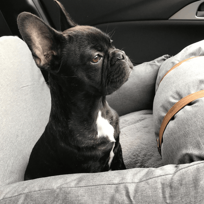 Premium Dog Booster Seat for Small Pets V568-20CC026A