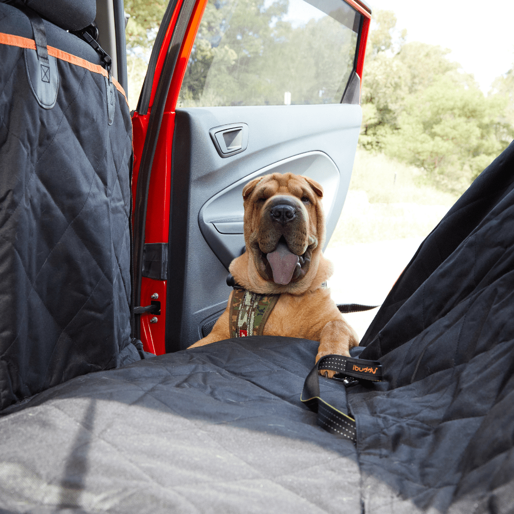 iBuddy Dog Seat Cover Car Hammock w/ Mesh Window & Dog Seat Belt V568-IB-P00027-SB