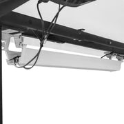 WalkingPad C2 Treadmill + ErgoDesk Automatic Standing Desk 1500mm in White/Black + Cable Management Tray V572-KWTM-C2BK-A