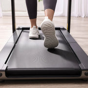 WalkingPad X21 Double-Fold Walking and Running Treadmill V572-KWTM-X21