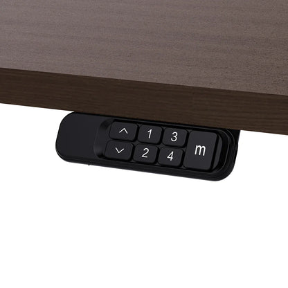 Lifespan Fitness ErgoDesk Electric Standing Desk 160cm (Walnut/Black) V572-LFDK-ED160WNBK