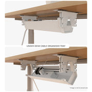 Lifespan Fitness ErgoDesk Automatic Standing Desk 1500mm (White) + Cable Management Tray V572-LFDK-EDKWB-150C