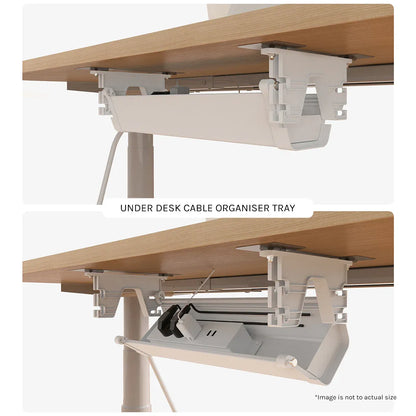 Lifespan Fitness ErgoDesk Automatic Standing Desk 1500mm (White) + Cable Management Tray V572-LFDK-EDKWB-150C