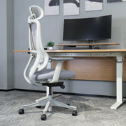 Lifespan Fitness DM8 Ergonomic Office Desk Chair (White/Grey) V572-LFOC-DM8G