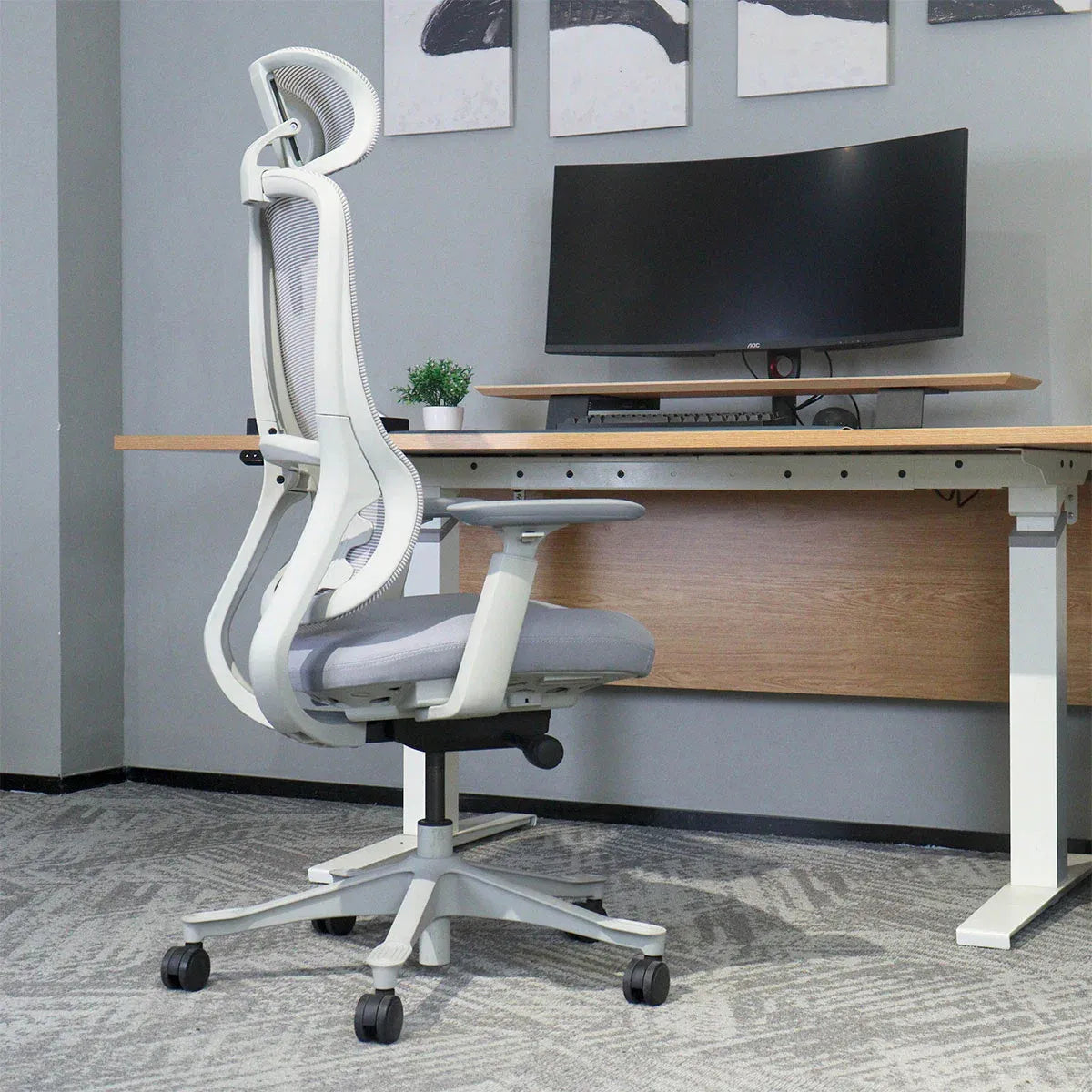 Lifespan Fitness DM8 Ergonomic Office Desk Chair (White/Grey) V572-LFOC-DM8G