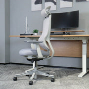 Lifespan Fitness DM8 Ergonomic Office Desk Chair (White/Grey) V572-LFOC-DM8G