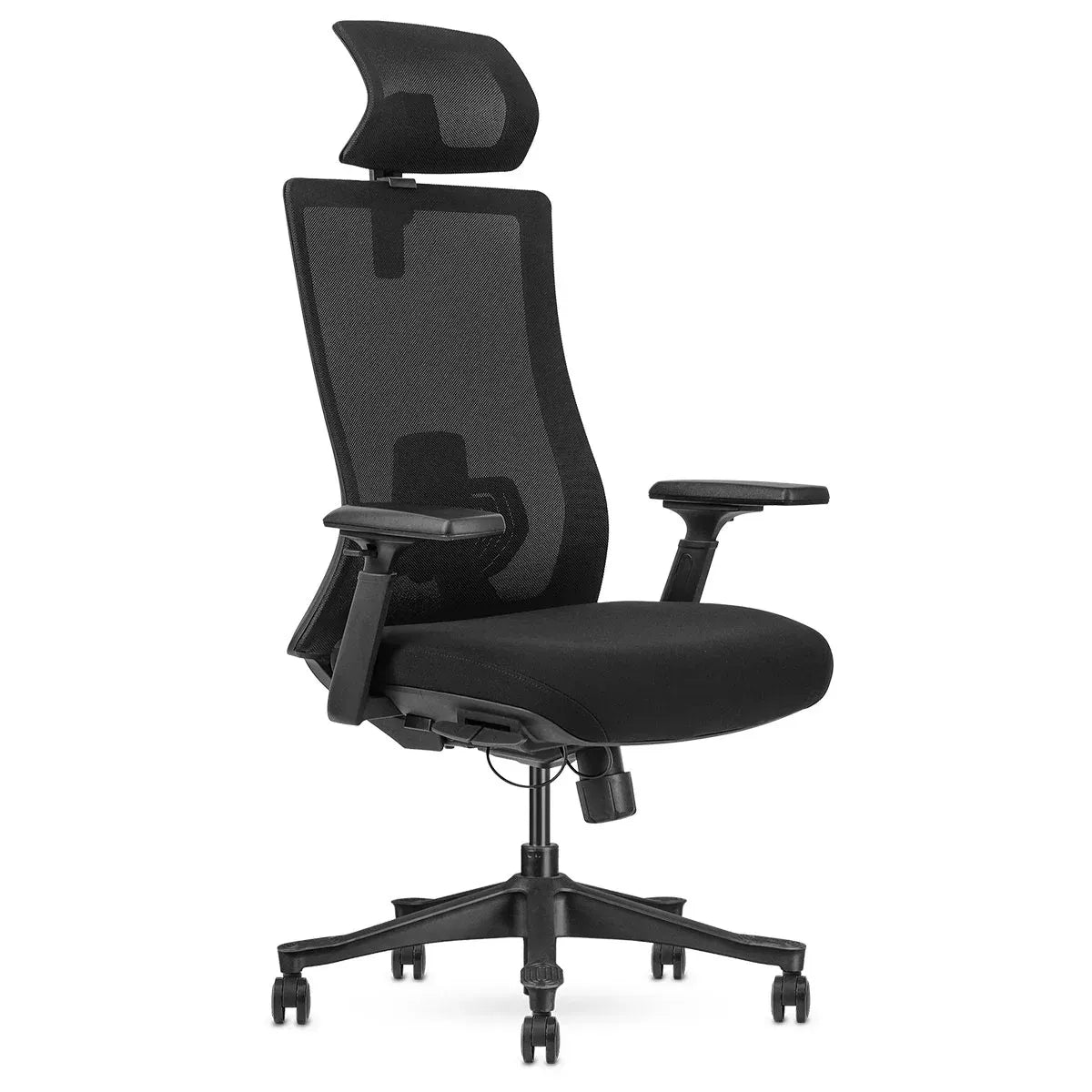 Lifespan Fitness DM9 Ergonomic Mesh High Back Office Chair V572-LFOC-DM9BK-1