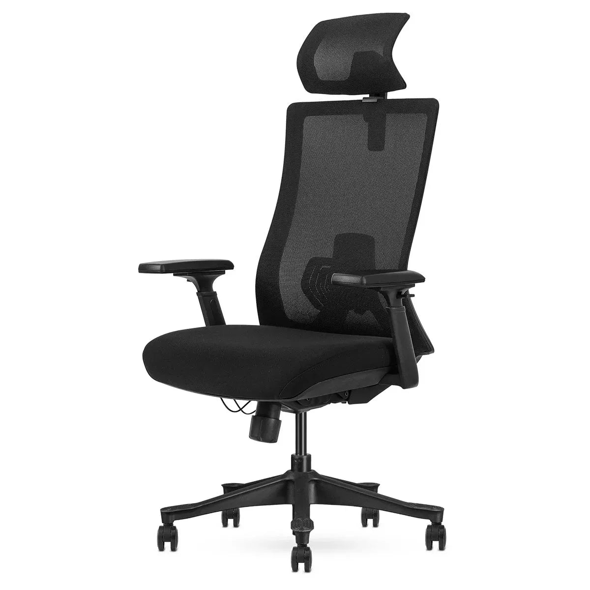 Lifespan Fitness DM9 Ergonomic Mesh High Back Office Chair V572-LFOC-DM9BK-1
