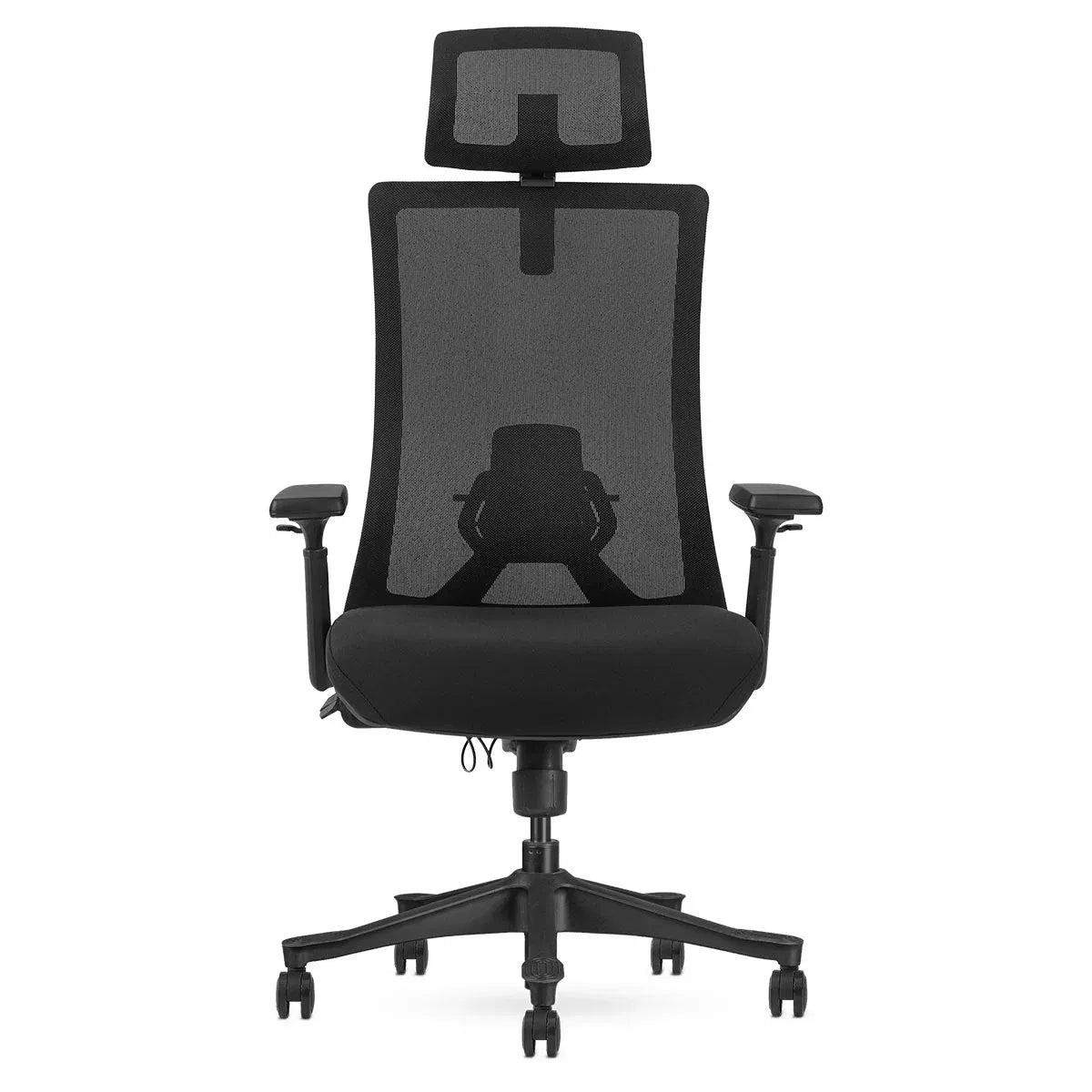 Lifespan Fitness DM9 Ergonomic Mesh High Back Office Chair V572-LFOC-DM9BK-1