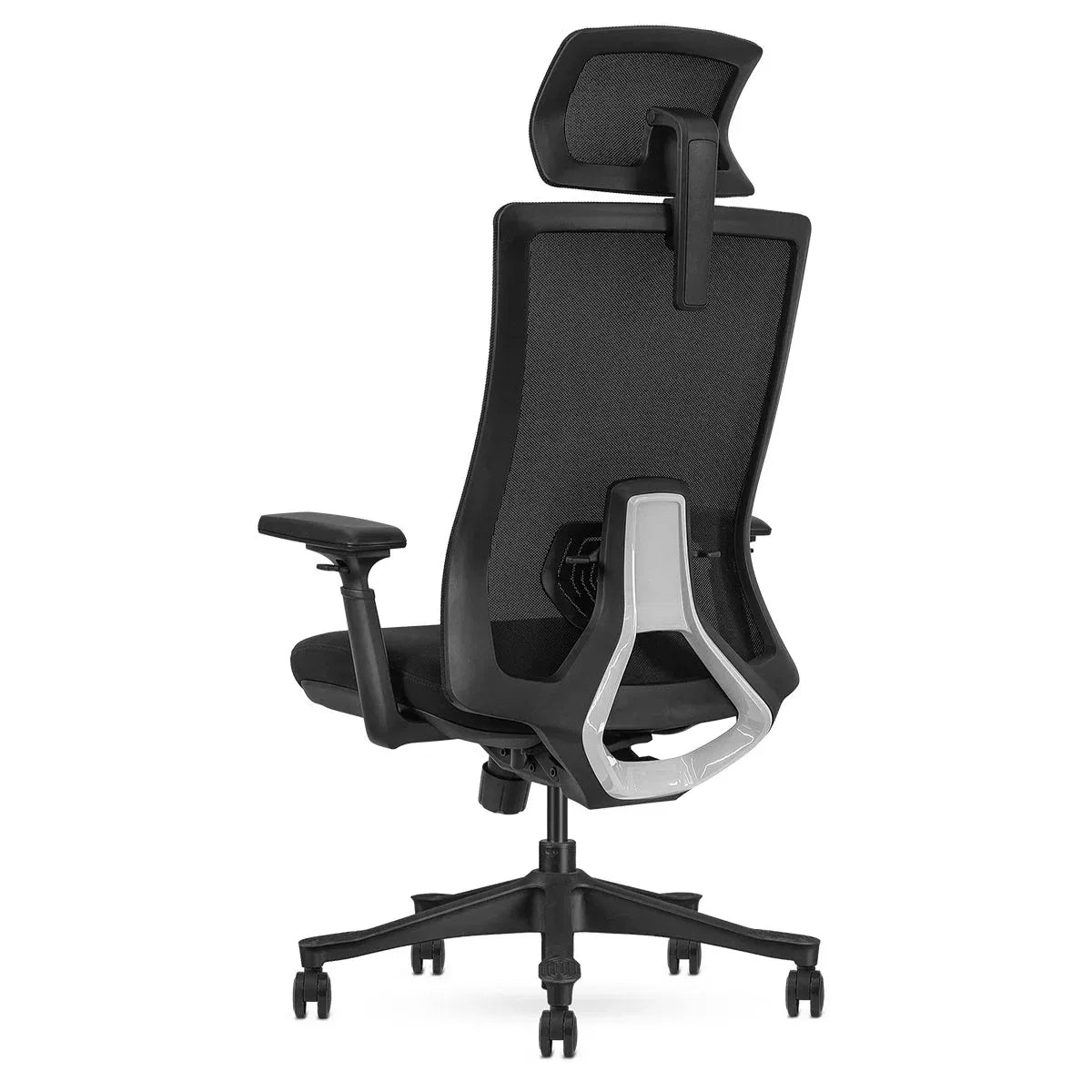 Lifespan Fitness DM9 Ergonomic Mesh High Back Office Chair V572-LFOC-DM9BK-1