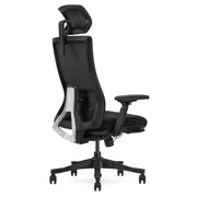 Lifespan Fitness DM9 Ergonomic Mesh High Back Office Chair V572-LFOC-DM9BK-1