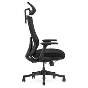 Lifespan Fitness DM9 Ergonomic Mesh High Back Office Chair V572-LFOC-DM9BK-1