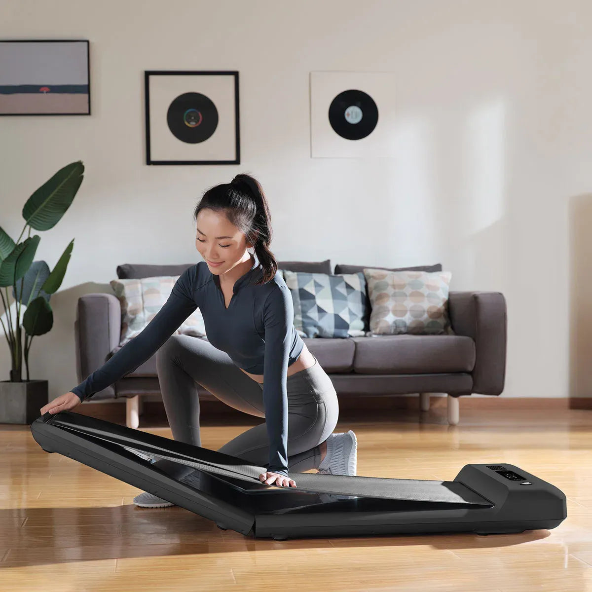 Lifespan Fitness WalkingPad M2 Treadmill V572-LFTM-WPADM2