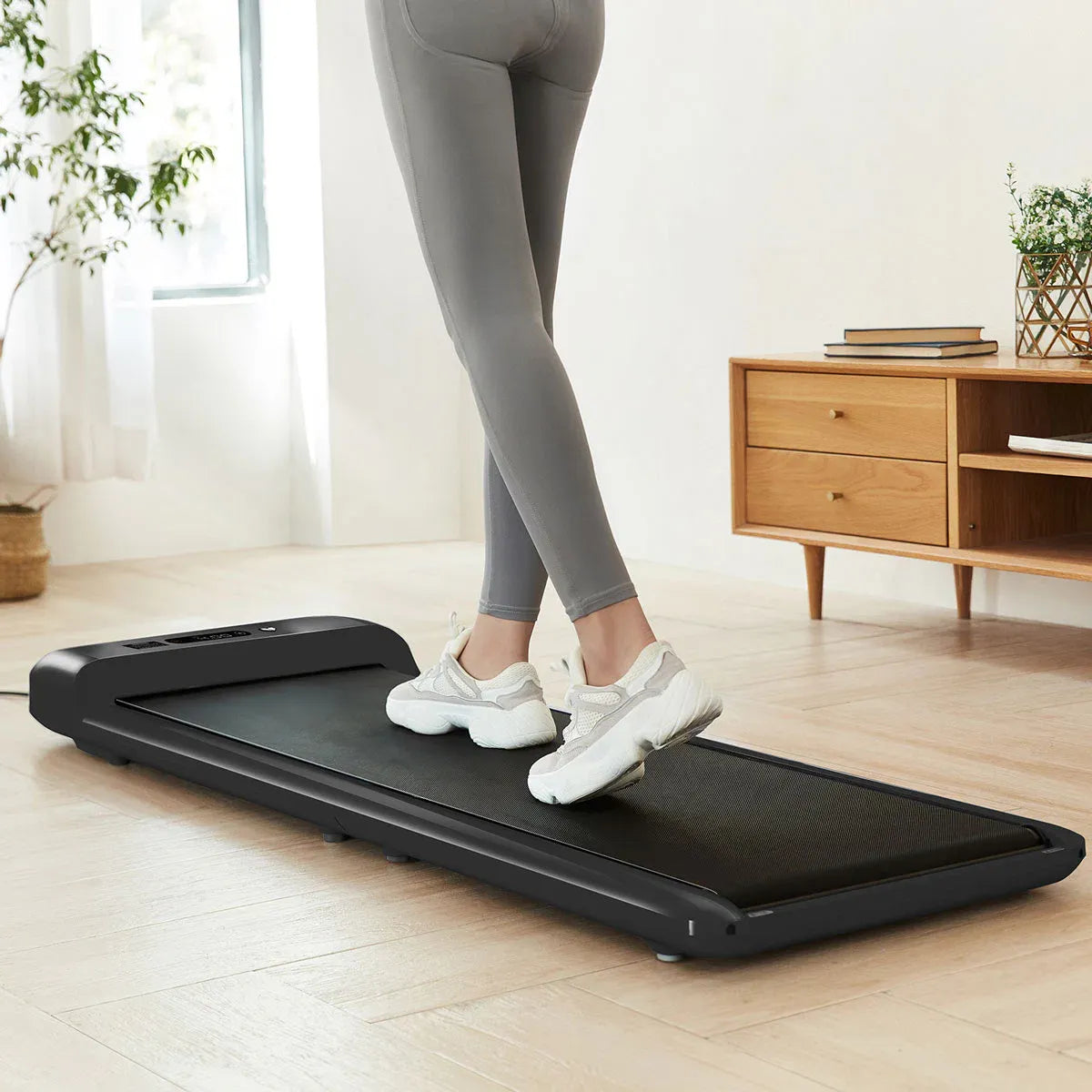 Lifespan Fitness WalkingPad M2 Treadmill V572-LFTM-WPADM2
