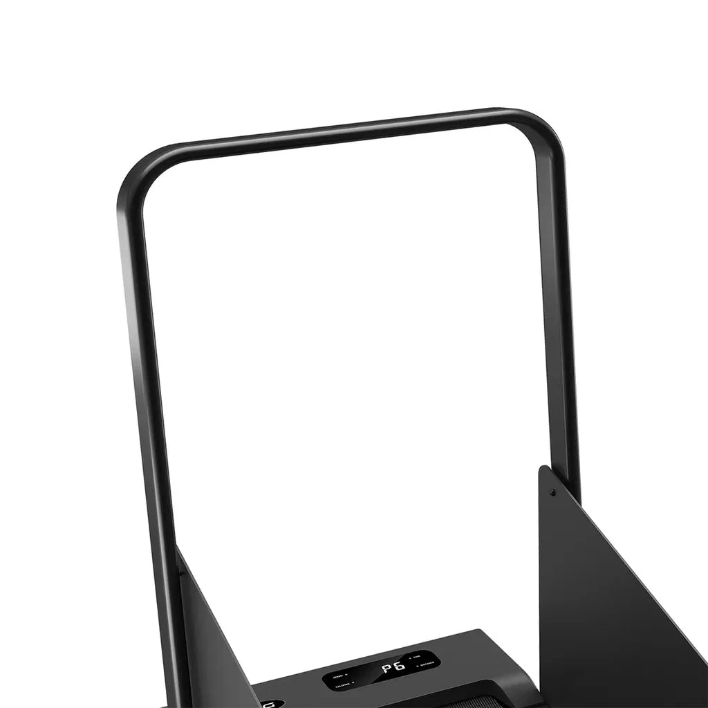 LSG PaceMate 2-in-1 Dog Treadmill & Walking Pad V572-LGTM-PACEMATE