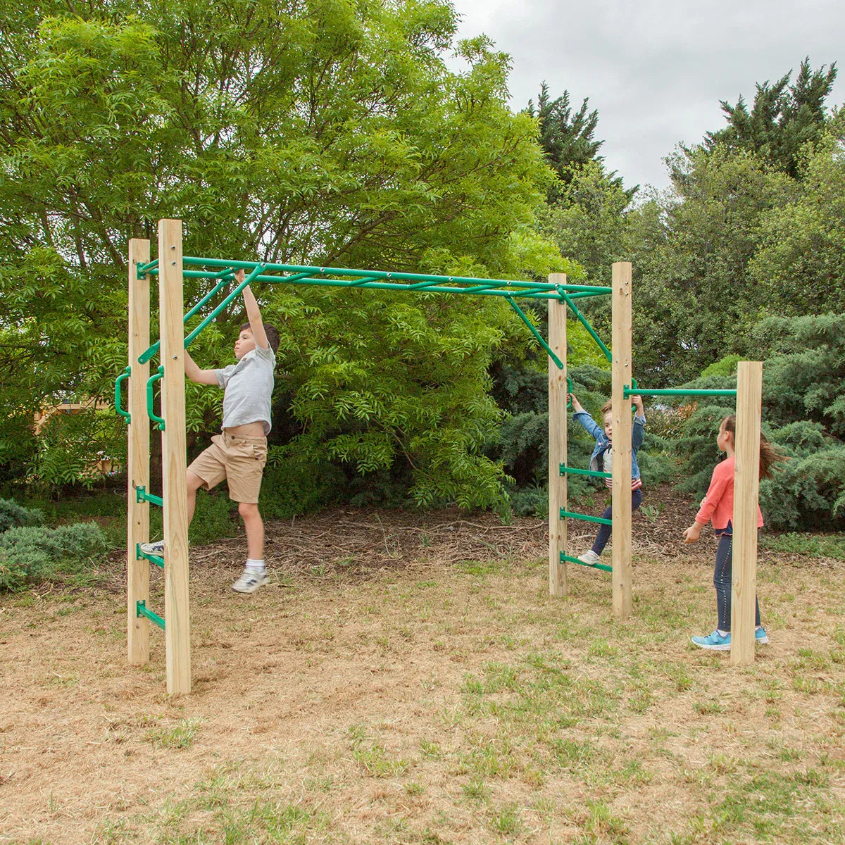 Lifespan Kids Amazon 2.5m Monkey Bar Set V572-LKMB-AMA255-SET