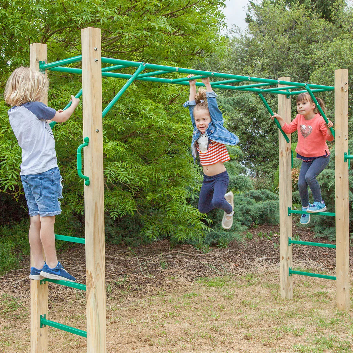 Lifespan Kids Amazon 2.5m Monkey Bar Set V572-LKMB-AMA255-SET