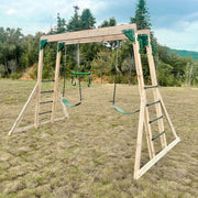 Lifespan Kids Daintree 2-in-1 Monkey Bars & Swing Set V572-LKMB-DAIN-SET