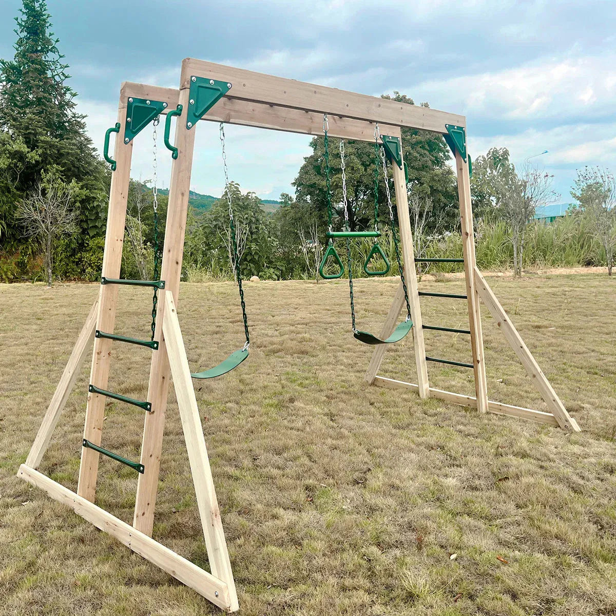 Lifespan Kids Daintree 2-in-1 Monkey Bars & Swing Set V572-LKMB-DAIN-SET