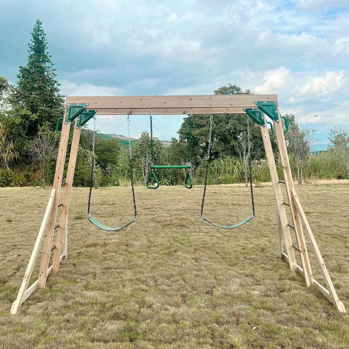 Lifespan Kids Daintree 2-in-1 Monkey Bars & Swing Set V572-LKMB-DAIN-SET