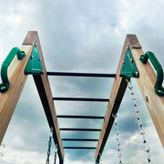 Lifespan Kids Daintree 2-in-1 Monkey Bars & Swing Set V572-LKMB-DAIN-SET