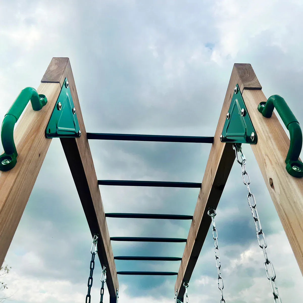Lifespan Kids Daintree 2-in-1 Monkey Bars & Swing Set V572-LKMB-DAIN-SET