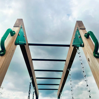 Lifespan Kids Daintree 2-in-1 Monkey Bars & Swing Set V572-LKMB-DAIN-SET